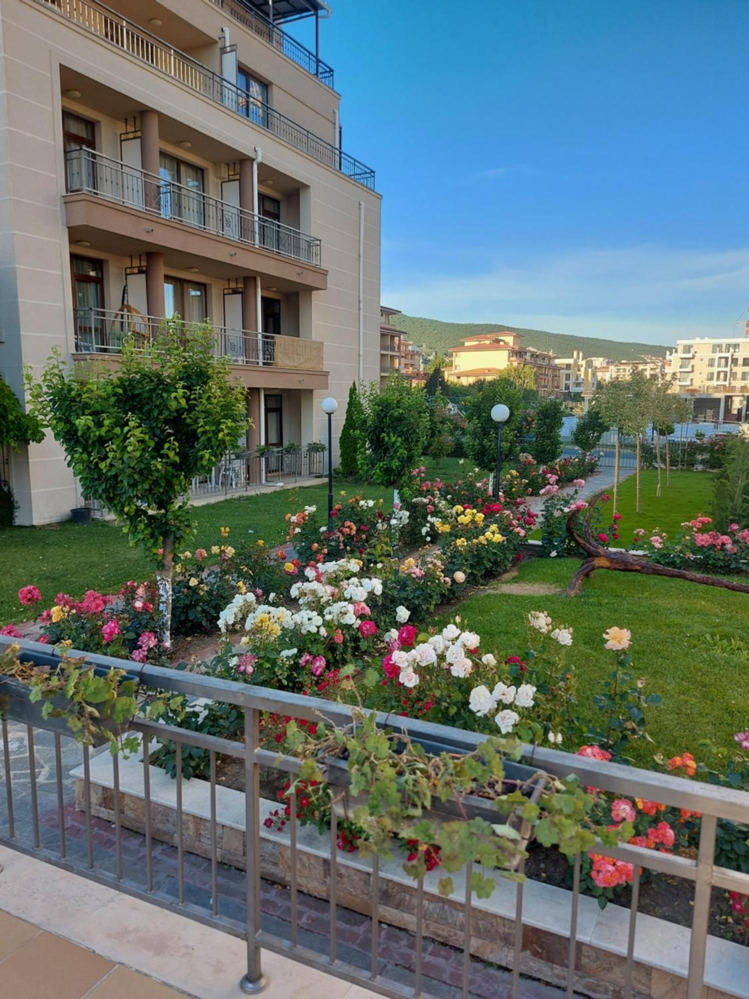 Charming Studio In Sorrento Sole Mare Свети-Влас Экстерьер фото